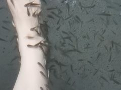 -凤翔首邑温泉度假村