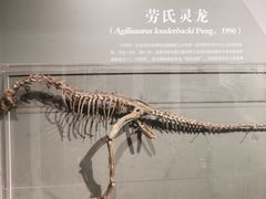 -自贡恐龙博物馆