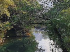 -石台牯牛降景区