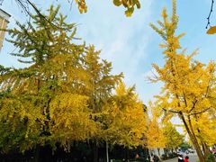 -四川大学(望江校区)