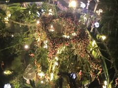 -杭州第一世界大酒店·云曼温泉