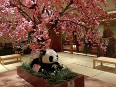 -大江户·温泉洗浴(浑南店)