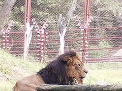 -沈阳森林动物园