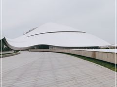 -哈尔滨大剧院