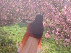 -昆山城市生态森林公园