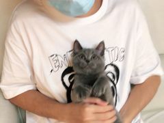 -lincat·猫舍(广州店)
