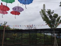 -欢乐松鼠谷