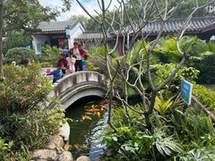 -大亚湾红树林城市湿地公园