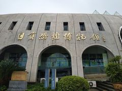 -自贡恐龙博物馆