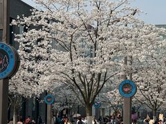 -满记甜品(湖滨店)
