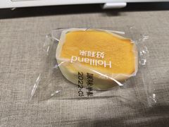 -蒲公英(五里店)