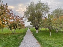 -汉长安城未央宫国家考古遗址公园