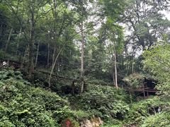 -青城山