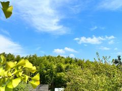 -宁波浙东大竹海景区