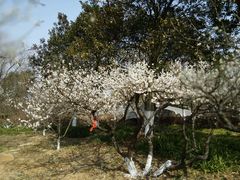 -白马涧龙池景区