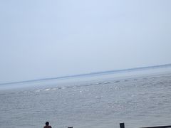 -观潮胜地公园