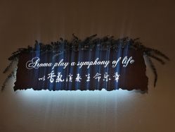 -芳香乐府疗愈空间·SPA·冥想