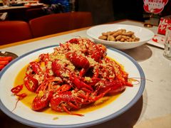 -杨氏青龙虾·羊蝎子(托乐嘉店)