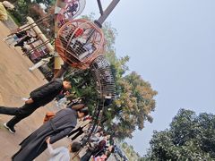 -枫香湖儿童公园