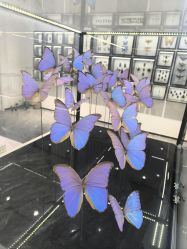 -酷嗒动物文化乐园(cutezoo西溪乐天城店)