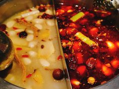 -快乐小羊·内蒙牛羊肉火锅(流花中心店)