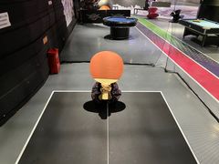 -VS SPORTS PARK运动玩乐园·团建·生日会(合生汇店)