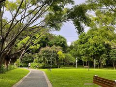 -福田红树林生态公园