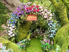 -沂蒙云瀑洞天景区