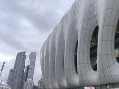 -深圳市体育中心体育馆主馆