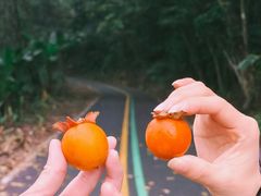 -福清灵石山国家森林公园