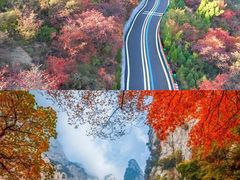 -伏羲山旅游区