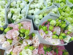 -三圣花乡旅游区