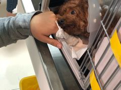 -纳吉亚猫专科动物医院博雅分院