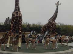 -北京野生动物园