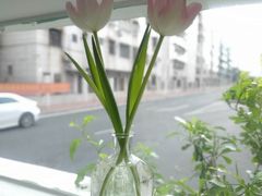 -怪 kafe.