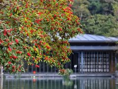 -云溪植物园