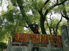 -大槐树寻根祭祖园