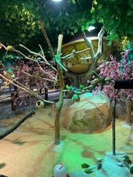 -酷嗒动物文化乐园(cutezoo西溪乐天城店)