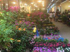 -双季花艺园艺市场(浦东店)