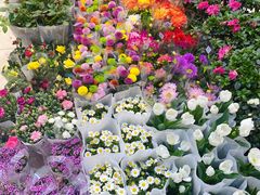 -双季花艺园艺市场(浦东店)