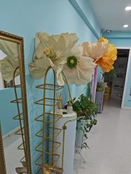 -斐尔国际皮肤管理中心