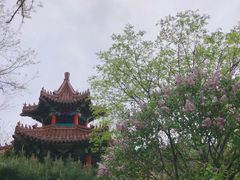 -大连植物园