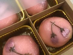-云朵上的鱼(莘庄店)