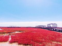 -红海滩国家风景廊道