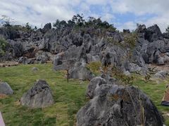 -千岛湖石林