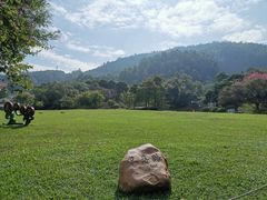 -火炉山森林公园