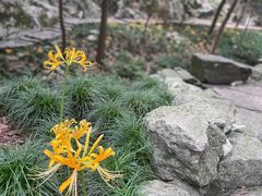 -灵隐飞来峰景区