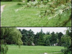 -上海共青森林公园