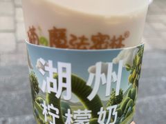 -猫的魔法密林(衣裳街店)