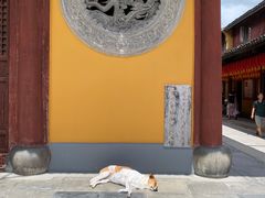 -龙华寺
